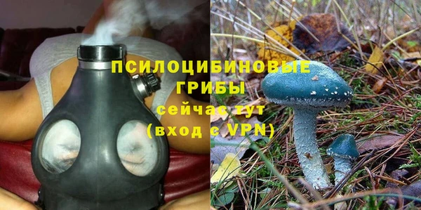 гашик Абаза
