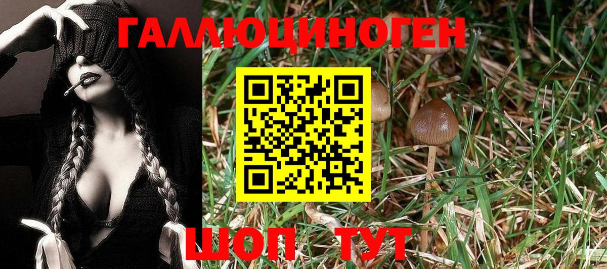 Псилоцибиновые грибы ЛСД Протвино