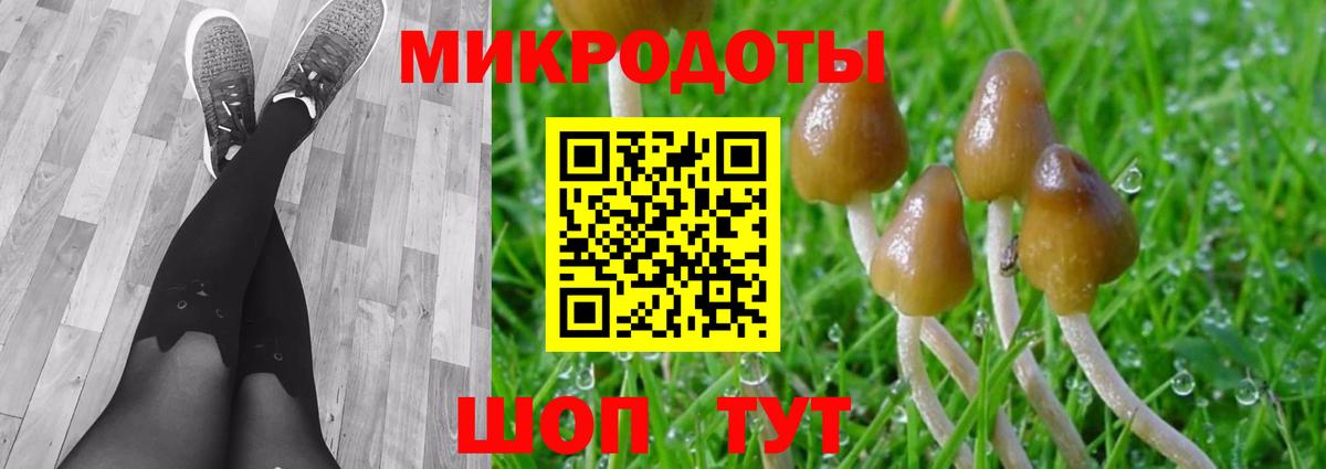 Галлюциногенные грибы ЛСД  Вход с VPN  Протвино  Псилоцибиновые грибы Psilocybine cubensis 